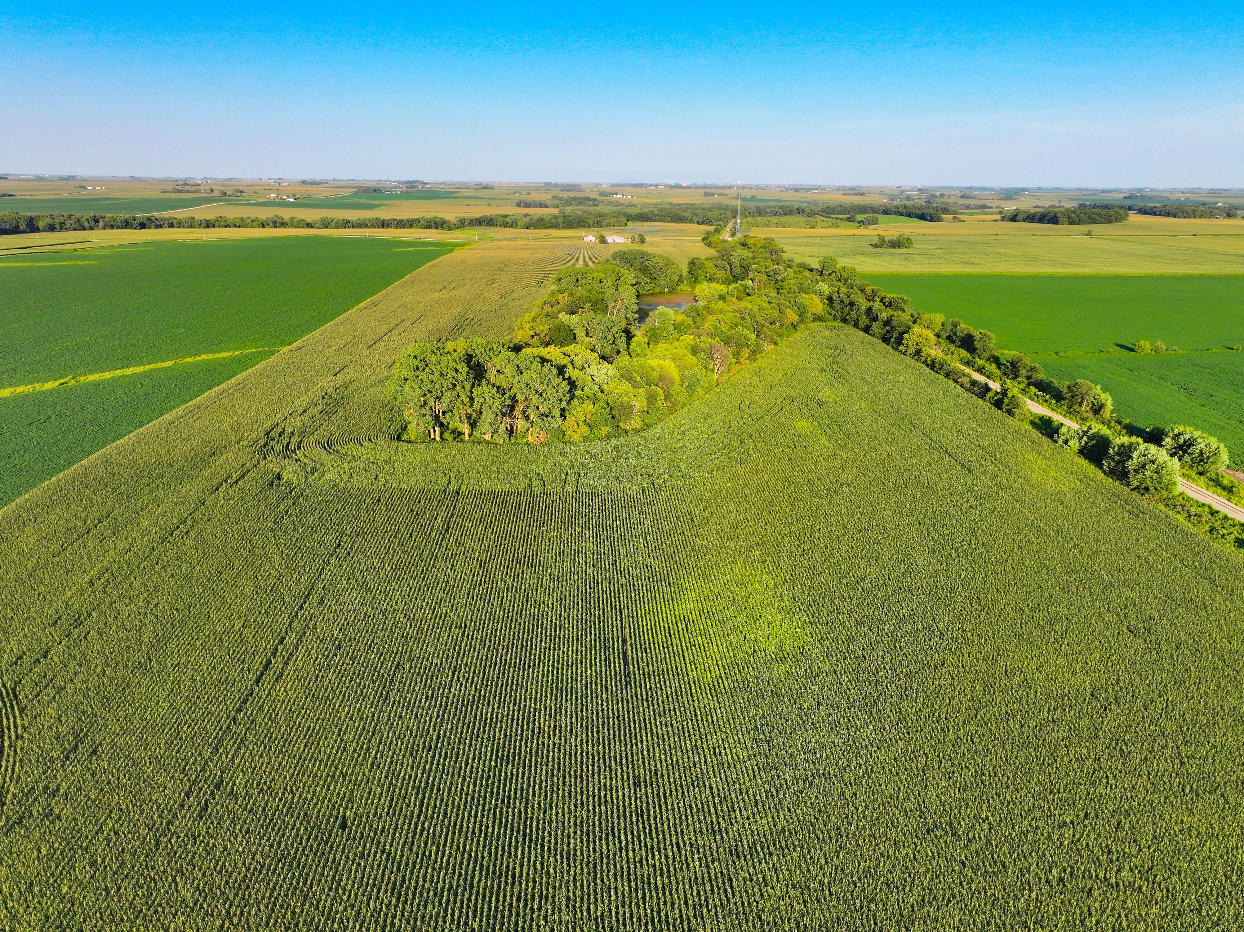 Listing Photo: 9_Buchanan Co IA Land For Sale